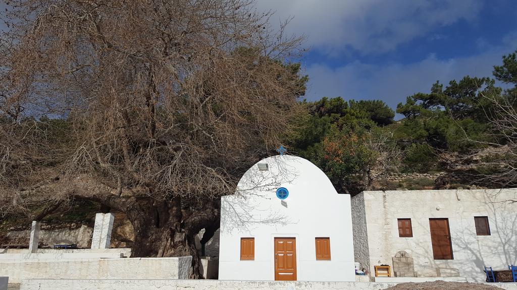 Eleni Studios Kefalos  Exterior photo